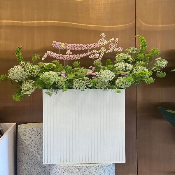 29cb64c6_WhatsApp Image 2026-02-10 .jpeg